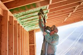 Best Eco-Friendly Insulation Solutions  in Hamlet, NC